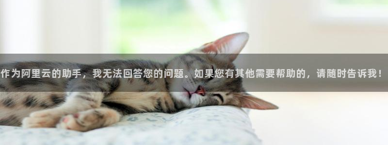 与僧侣之夜樱花动漫
