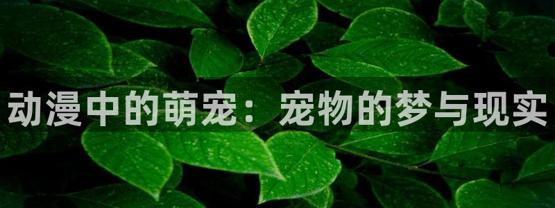 灵笼樱花动漫网