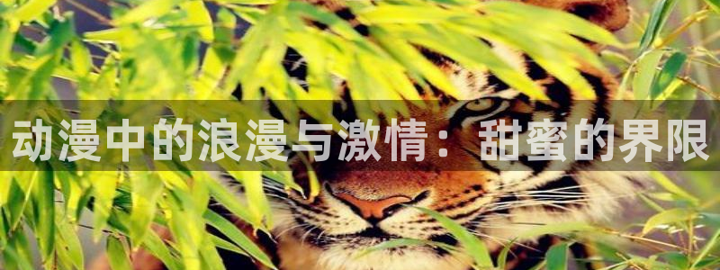 樱花动漫app下载网官网