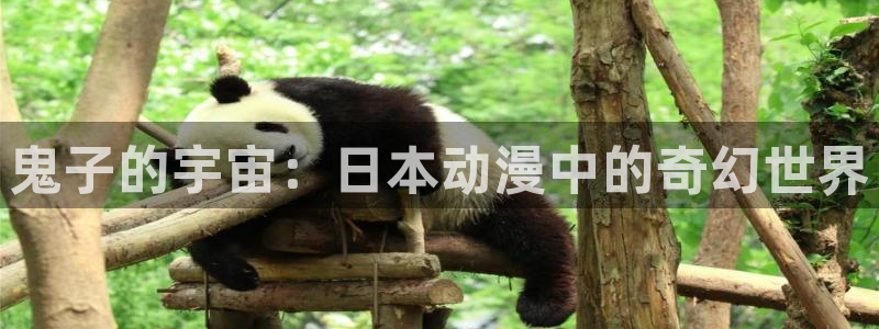 樱花动漫摇曳露营