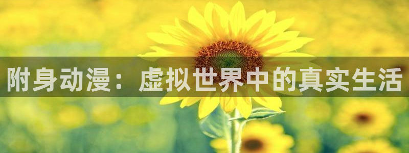 超能力魔美动漫樱花动漫免费观看：附身动漫：虚拟世界中的真实生活