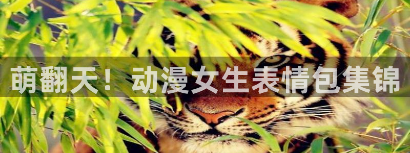 妖魔樱花动漫：萌翻天！动漫女生表情包集锦