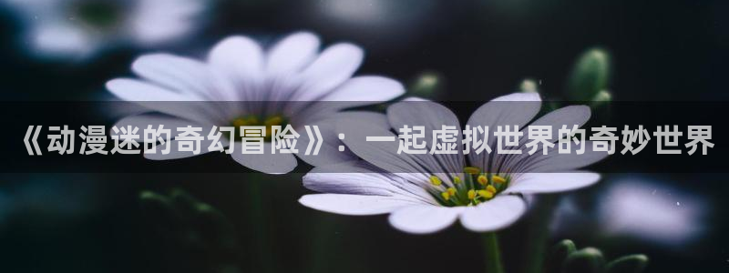 缘之空第11集樱花动漫：《动漫迷的奇幻冒险》：一起虚拟世界的奇妙世界