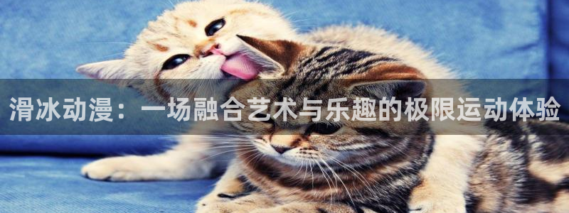宝可梦剑盾动漫樱花动漫