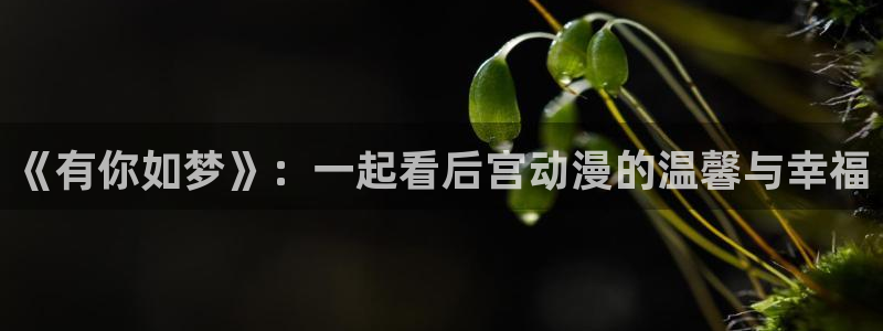 overlord樱花动漫免费看