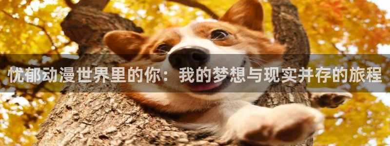 美人老矣樱花动漫