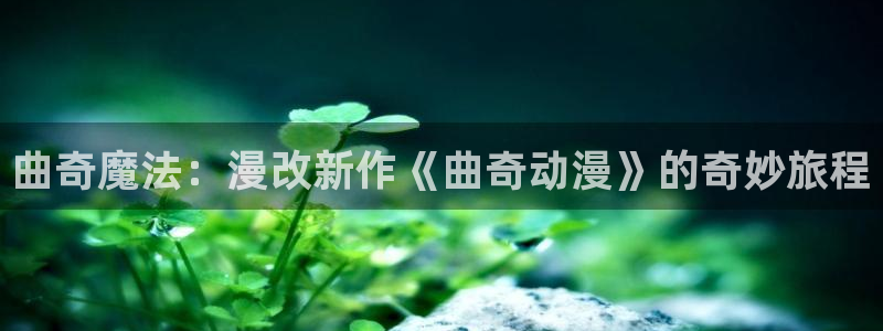 樱花动漫官网正版官网的网址