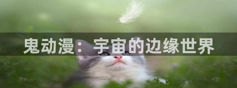 神墓樱花动漫