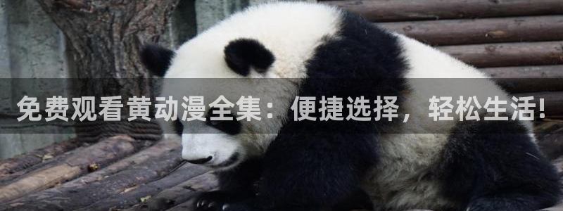 樱花动漫双男主