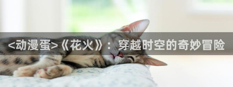 樱花动漫,专注动漫