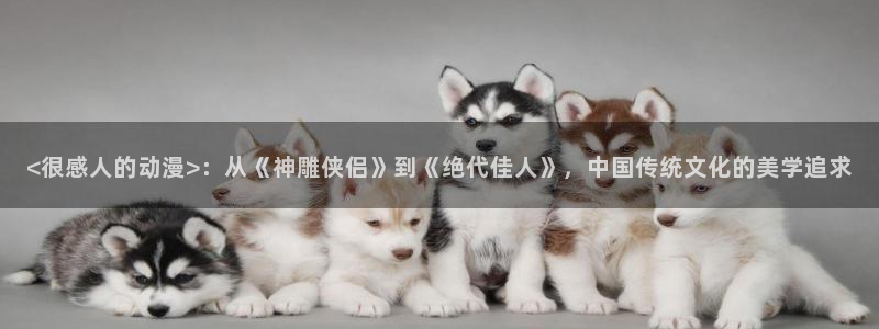 樱花动漫2023