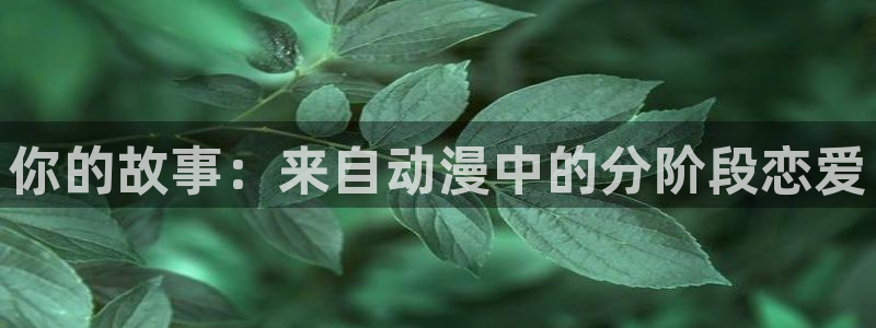 少年骇客樱花动漫