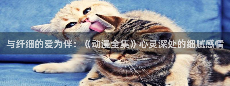 鸣人的假期樱花动漫免费版