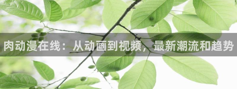 樱花动漫视频在线观看电视剧全集免费下载