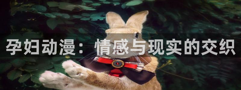 雷火剑5全集免费樱花动漫