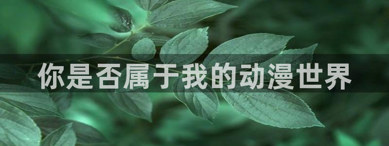 樱花动漫专门看动漫的网站