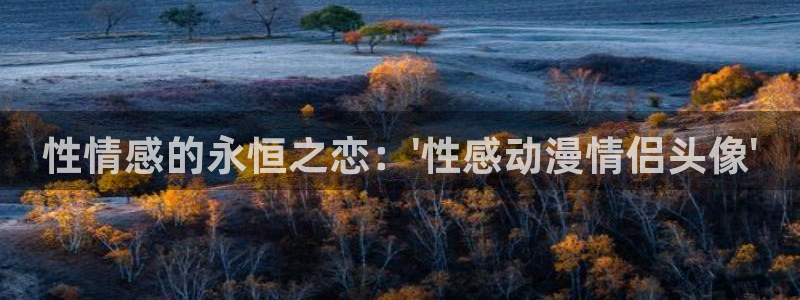 免费动漫樱花动漫