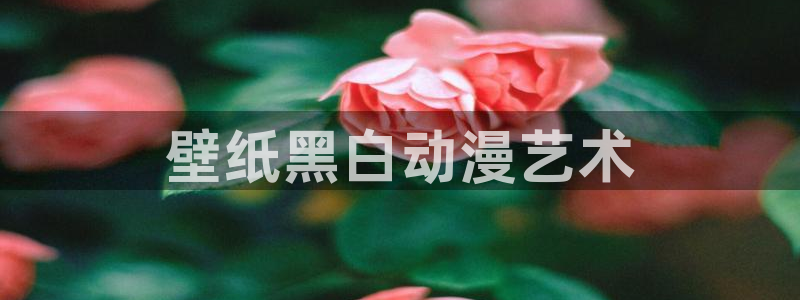 守护甜心樱花动漫