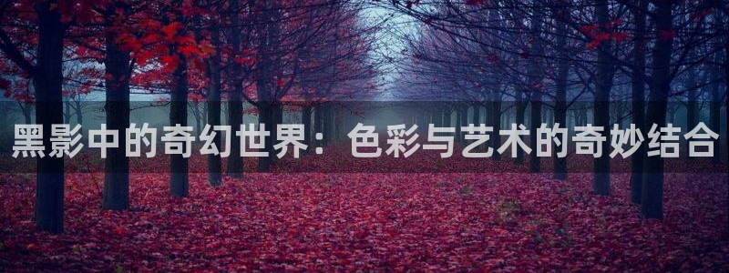 僧侣之夜动漫樱花动漫