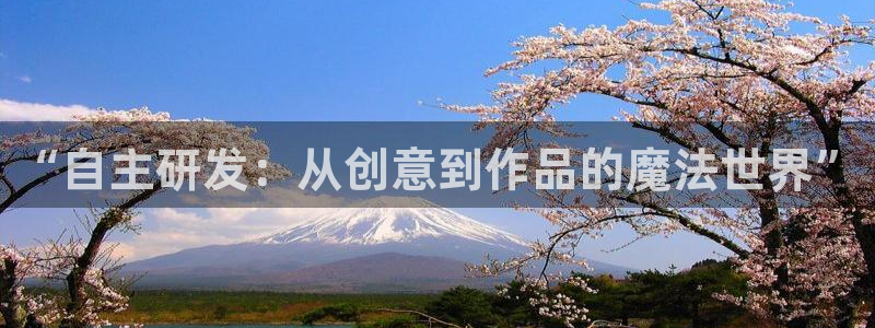 精灵宝可梦第二季樱花动漫