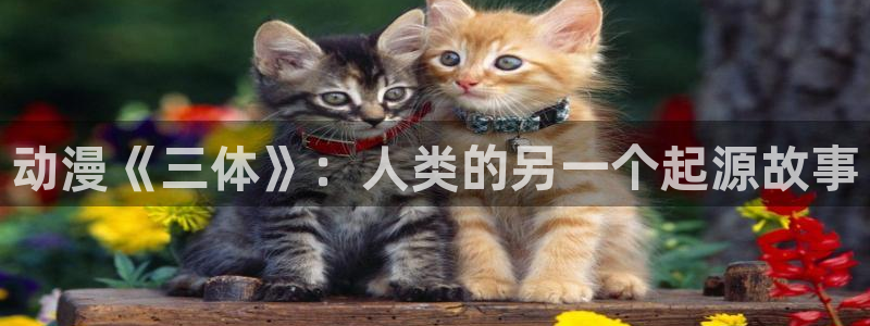 island樱花动漫在线：动漫《三体》：人类的另一个起源故事