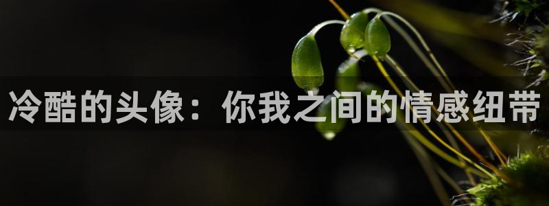 没有钱无删减在线樱花动漫：冷酷的头像：你我之间的情感纽带