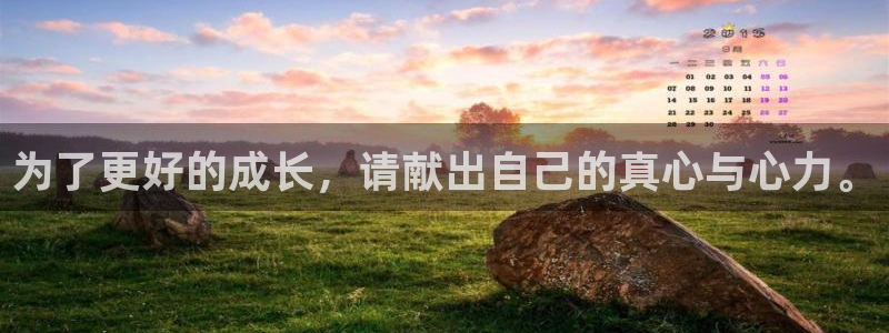 fate第二季樱花动漫