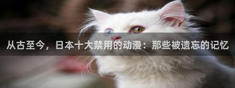 雄狮少年2樱花动漫在线观看