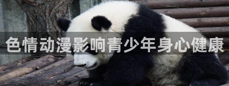 光与影的传说动漫在线观看樱花动漫