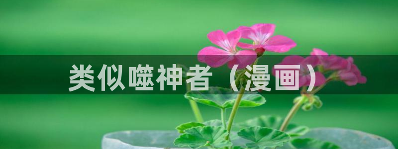 樱花动漫下