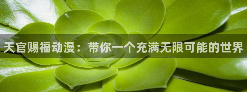 樱花动漫哪里下载