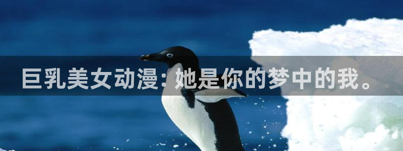 飞出个未来樱花动漫