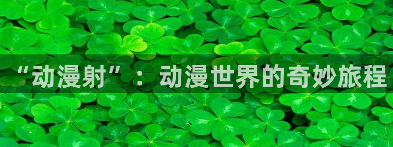 樱花动漫不良人第一季