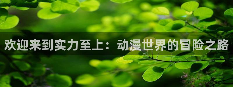 樱花动漫现在