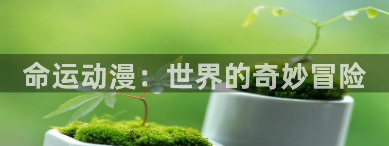 捏造陷阱樱花动漫