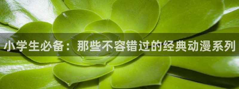 刺客守则动漫免费观看樱花动漫