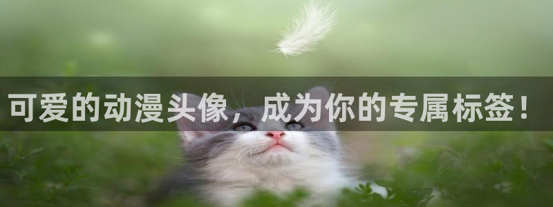 樱花动漫双男主