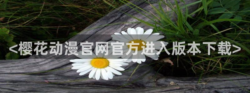 日本动漫_樱花动漫