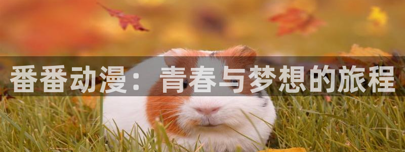 上司樱花动漫