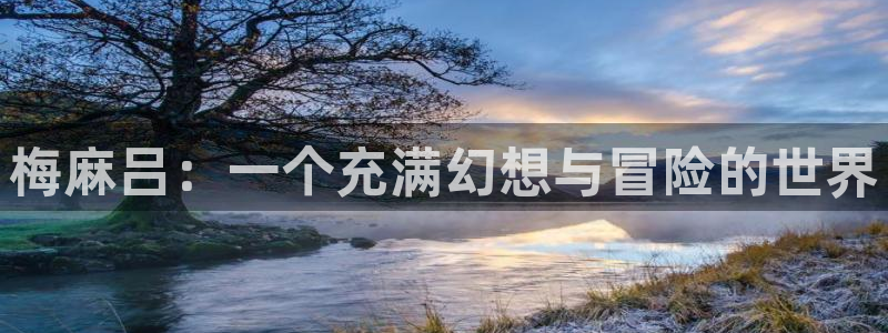 新琉恩传说,樱花动漫