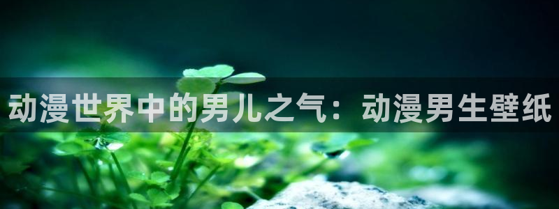重返十七岁樱花动漫