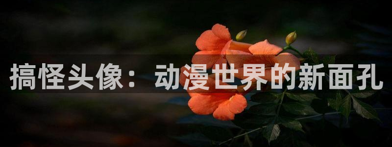天降女子樱花动漫全集